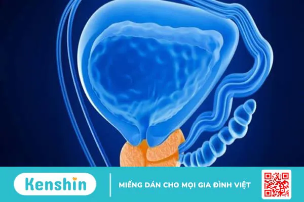 Quan hệ tình dục có tác dụng gì? 15 lợi ích của việc quan hệ đều đặn