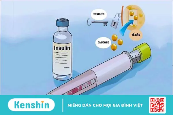 Quế: 12 Tác dụng, cách dùng, tác dụng phụ khi sử dụng