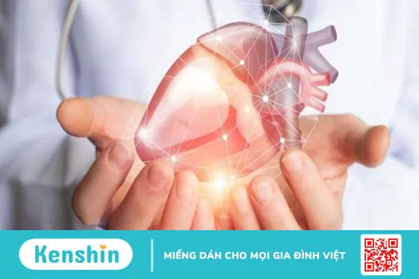 Rau cần tây có tác dụng gì? 19 lợi ích và các lưu ý khi dùng cần tây