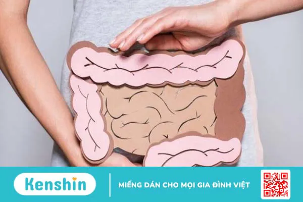 Rau cần tây có tác dụng gì? 19 lợi ích và các lưu ý khi dùng cần tây