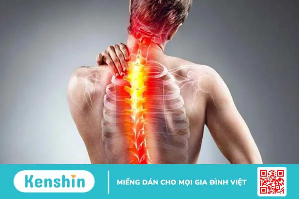 Rau cần tây có tác dụng gì? 19 lợi ích và các lưu ý khi dùng cần tây