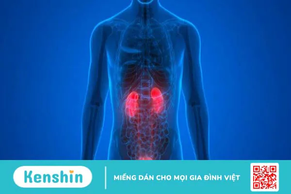 Rau cần tây có tác dụng gì? 19 lợi ích và các lưu ý khi dùng cần tây