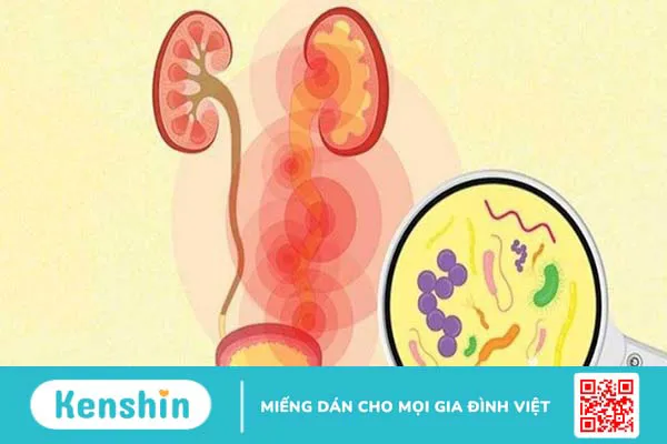 Rau cần tây có tác dụng gì? 19 lợi ích và các lưu ý khi dùng cần tây