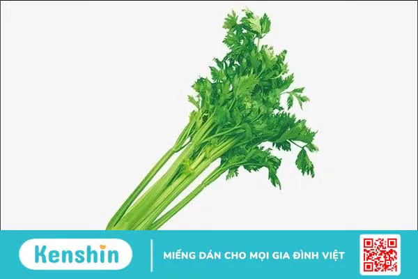 Rau cần tây có tác dụng gì? 19 lợi ích và các lưu ý khi dùng cần tây