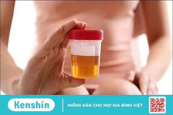 Rau đắng đất có tác dụng gì? 11 bài thuốc chữa bệnh từ rau đắng đất