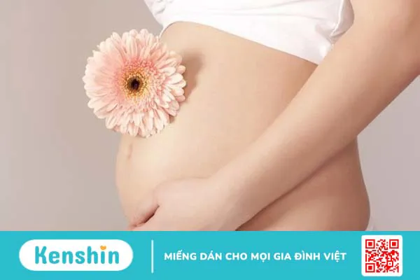 Rau đắng đất có tác dụng gì? 11 bài thuốc chữa bệnh từ rau đắng đất