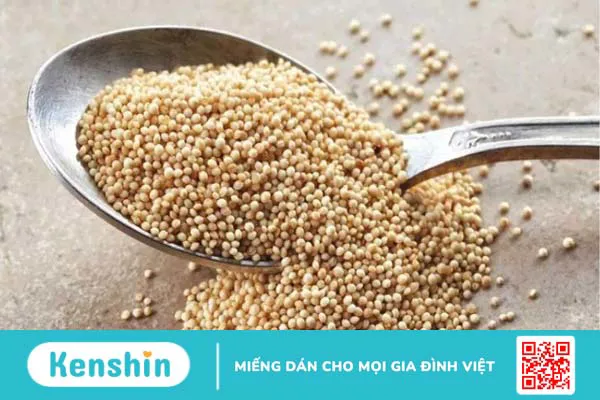 Rau dền bao nhiêu calo? Rau dền có tác dụng gì?