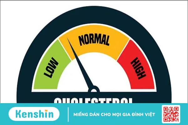 Rau dền bao nhiêu calo? Rau dền có tác dụng gì?