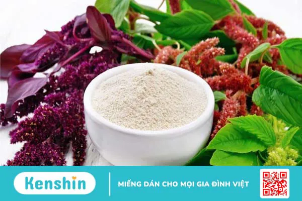 Rau dền bao nhiêu calo? Rau dền có tác dụng gì?