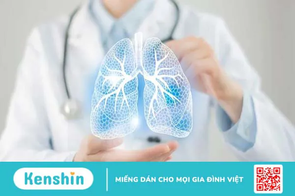 Rau diếp cá có tác dụng gì? 17 lợi ích và lưu ý khi sử dụng diếp cá