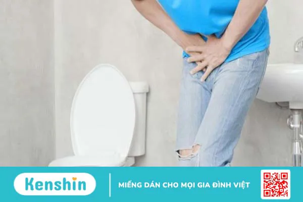 Rau diếp cá có tác dụng gì? 17 lợi ích và lưu ý khi sử dụng diếp cá