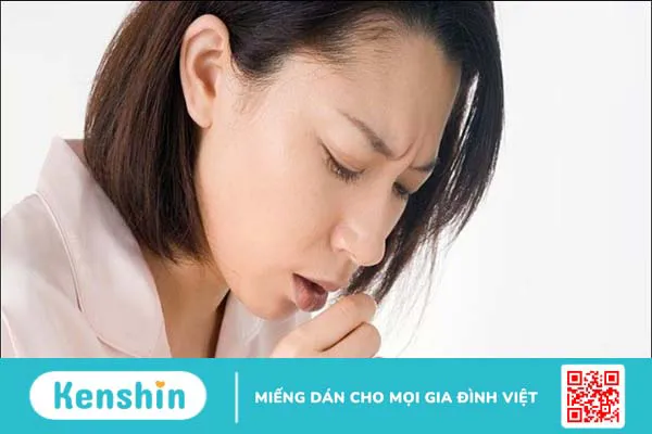 Rau diếp cá có tác dụng gì? 17 lợi ích và lưu ý khi sử dụng diếp cá