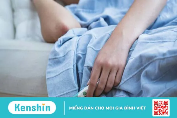 Rau húng quế có tác dụng gì? 10 tác dụng bất ngờ của rau húng quế