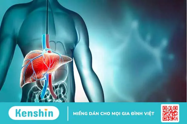 Rau muống có tác dụng gì? Có nên ăn rau muống mỗi ngày?