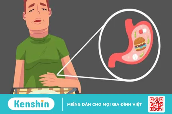 Rau thì là có tác dụng gì? 16 tác dụng của rau thì là đối với sức khỏe