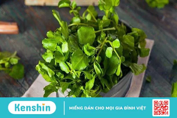 Rau xà lách xoong có tác dụng gì? 27 công dụng của xà lách xoong