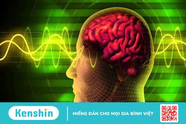 Rau xà lách xoong có tác dụng gì? 27 công dụng của xà lách xoong