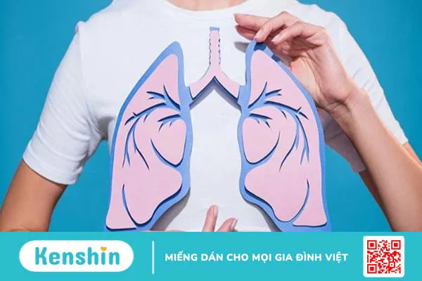 Rau xà lách xoong có tác dụng gì? 27 công dụng của xà lách xoong