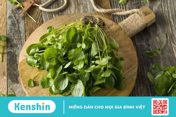 Rau xà lách xoong có tác dụng gì? 27 công dụng của xà lách xoong