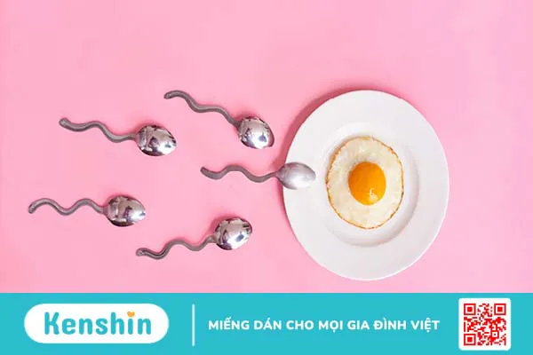 Rối loạn kinh nguyệt có nguy hiểm không? Phái nữ cần đặc biết chú ý