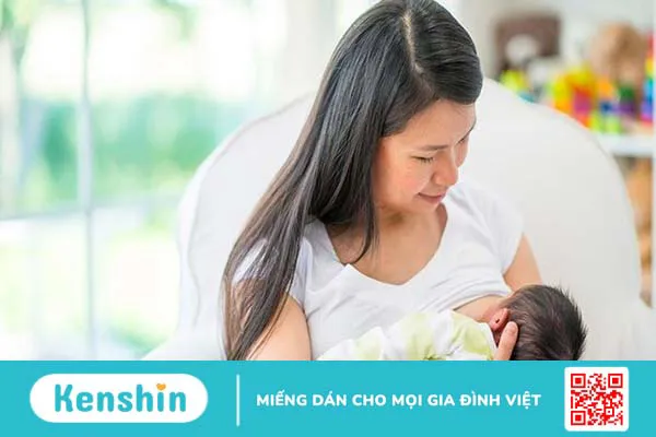 Rong biển bao nhiêu calo? Ăn rong biển có béo không? Cách ăn giảm cân