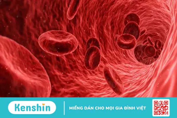 Rutin: Tác dụng, cách dùng, tác dụng phụ, thực phẩm chứa rutin