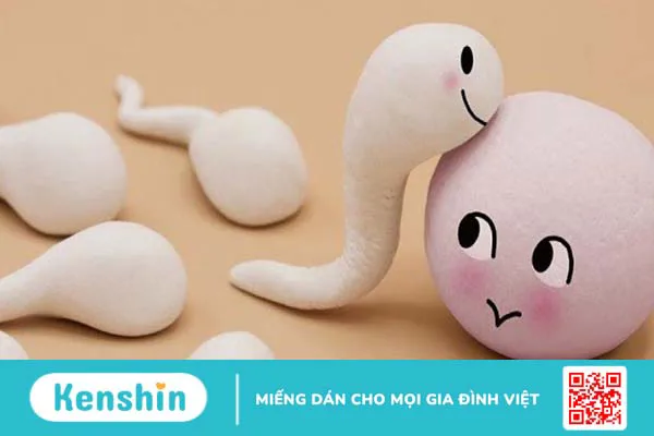 Rutin: Tác dụng, cách dùng, tác dụng phụ, thực phẩm chứa rutin