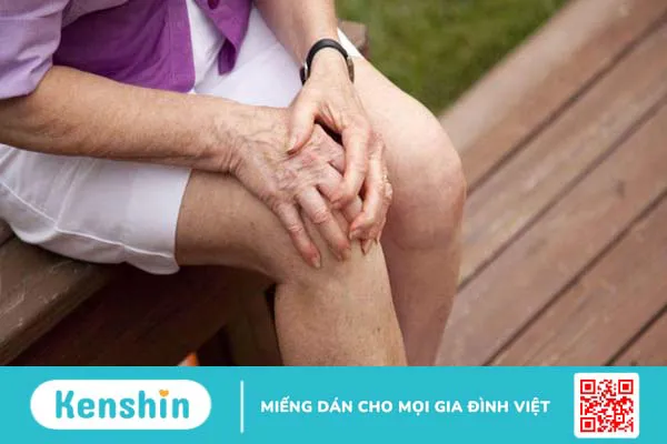 Sâm cau có tác dụng gì? Công dụng sâm cau với sức khỏe sinh lý phái mạnh