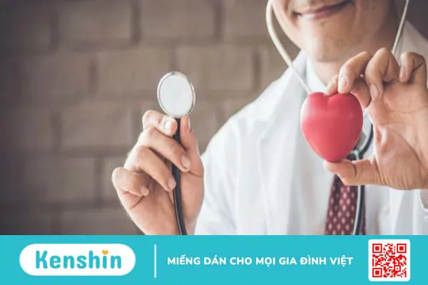 Sâm cau có tác dụng gì? Công dụng sâm cau với sức khỏe sinh lý phái mạnh