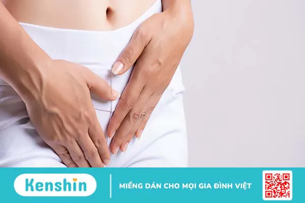 Sâm tố nữ có tác dụng gì? 7 tác dụng của sâm tố nữ bạn nên biết