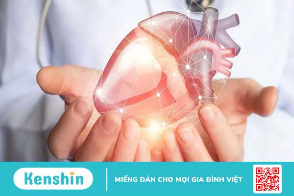 Sâm tố nữ có tác dụng gì? 7 tác dụng của sâm tố nữ bạn nên biết