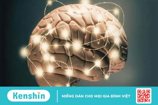 Sâm tố nữ có tác dụng gì? 7 tác dụng của sâm tố nữ bạn nên biết