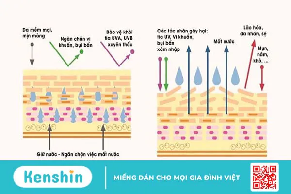 Serum Vitamin C có tác dụng gì với da mặt? Lưu ý khi dùng vitamin C