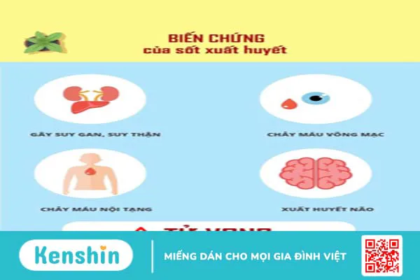 Sốt xuất huyết có nguy hiểm không? Các biến chứng sốt xuất huyết