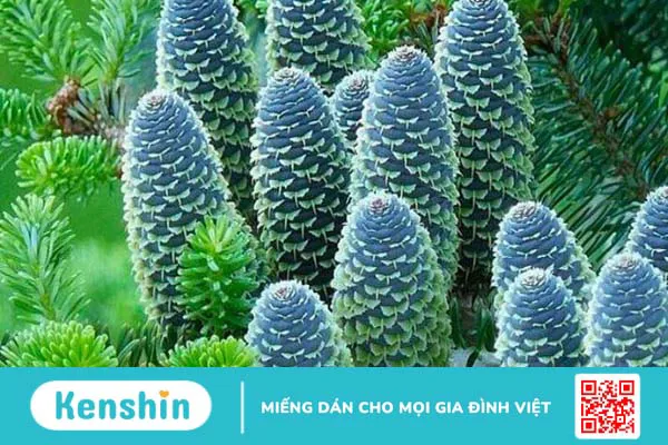 Sử dụng sữa dưỡng thể bị ngứa và cách khắc phục khi bị dị ứng mỹ phẩm