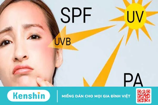 Sự khác nhau giữa kem dưỡng da ban ngày và ban đêm, lưu ý khi dùng