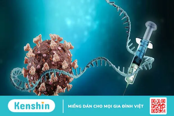 Sự thật và lầm tưởng về vaccine Covid-19