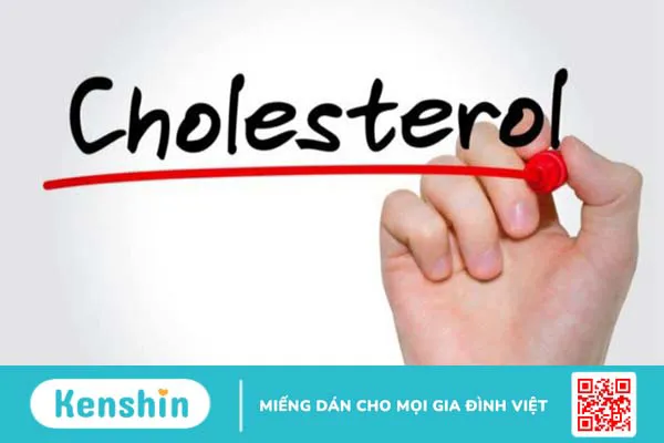 Sucrose (saccharose) là gì? Vai trò của sucrose đối với sức khỏe