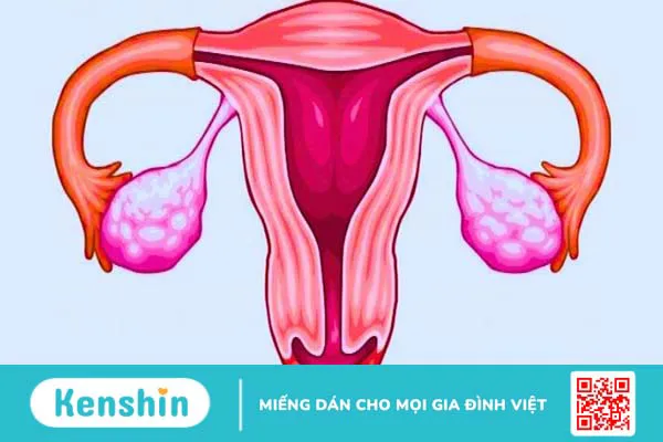 Tác dụng của Vitamin E với buồng trứng và khả năng sinh sản