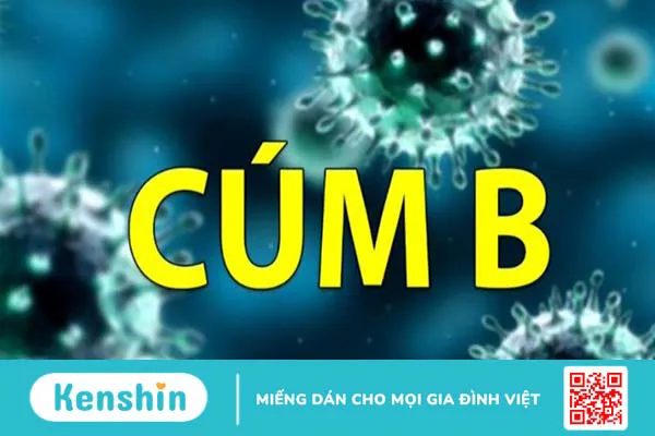 Tác nhân gây bệnh cúm ở người, có lây không, lây qua đường nào?