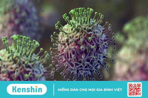 Tác nhân gây bệnh cúm ở người, có lây không, lây qua đường nào?