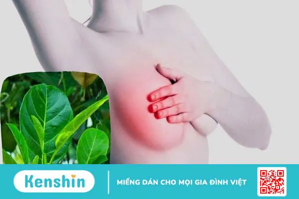 Tắc tia sữa phải làm sao? 16 cách chữa tắc tia sữa hiệu quả tại nhà