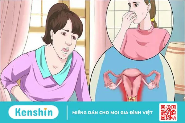 Tại sao vùng kín có mùi hôi? Tìm hiểu ngay 11 nguyên nhân phổ biến sau