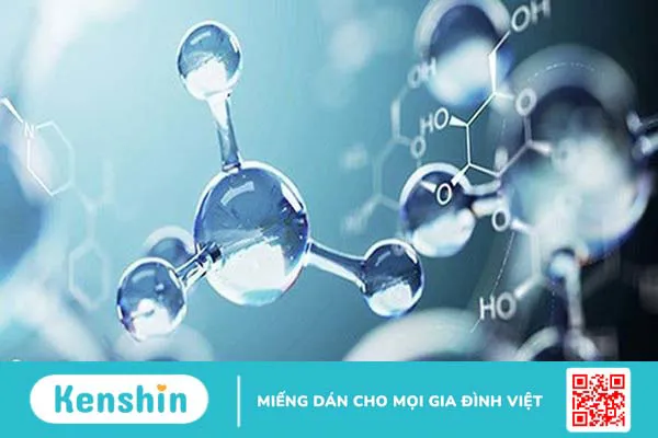 Táo đỏ có tác dụng gì? 14 công dụng của táo đỏ (táo tàu) bạn nên biết