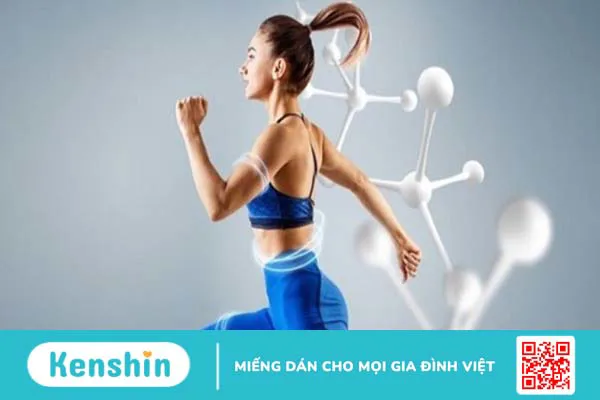 Tảo xoắn spirulina là gì? 11 công dụng của tảo xoắn đối với sức khỏe