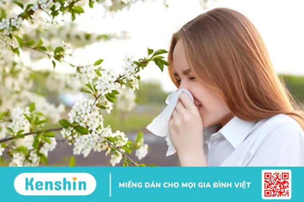 Tảo xoắn spirulina là gì? 11 công dụng của tảo xoắn đối với sức khỏe