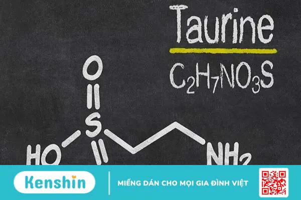 Taurine là gì? 10 tác dụng, cách dùng, thực phẩm chứa taurine