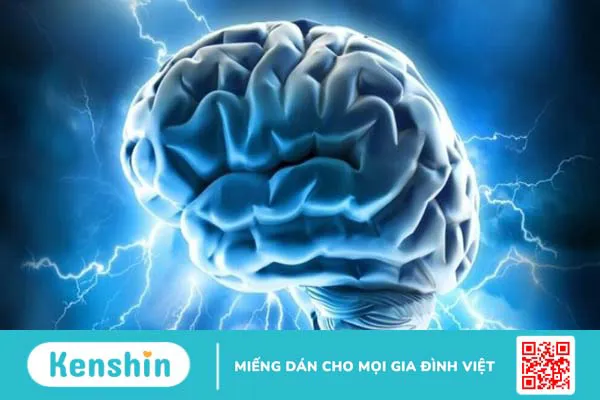 Taurine là gì? 10 tác dụng, cách dùng, thực phẩm chứa taurine