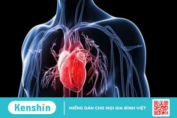 Taurine là gì? 10 tác dụng, cách dùng, thực phẩm chứa taurine