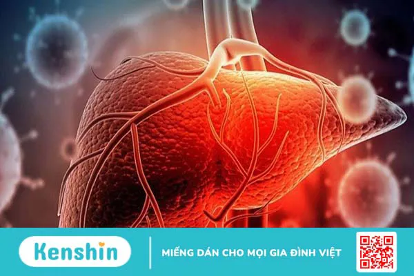 Taurine là gì? 10 tác dụng, cách dùng, thực phẩm chứa taurine